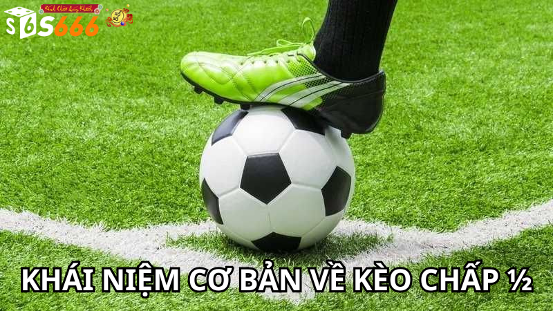 Khái Niệm Cơ Bản Về Kèo Chấp ½