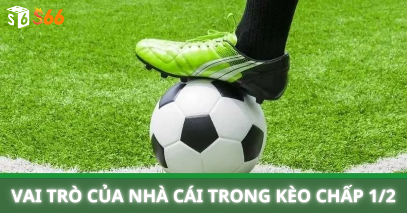 Vai Trò Của Nhà Cái Trong Kèo Chấp 1/2